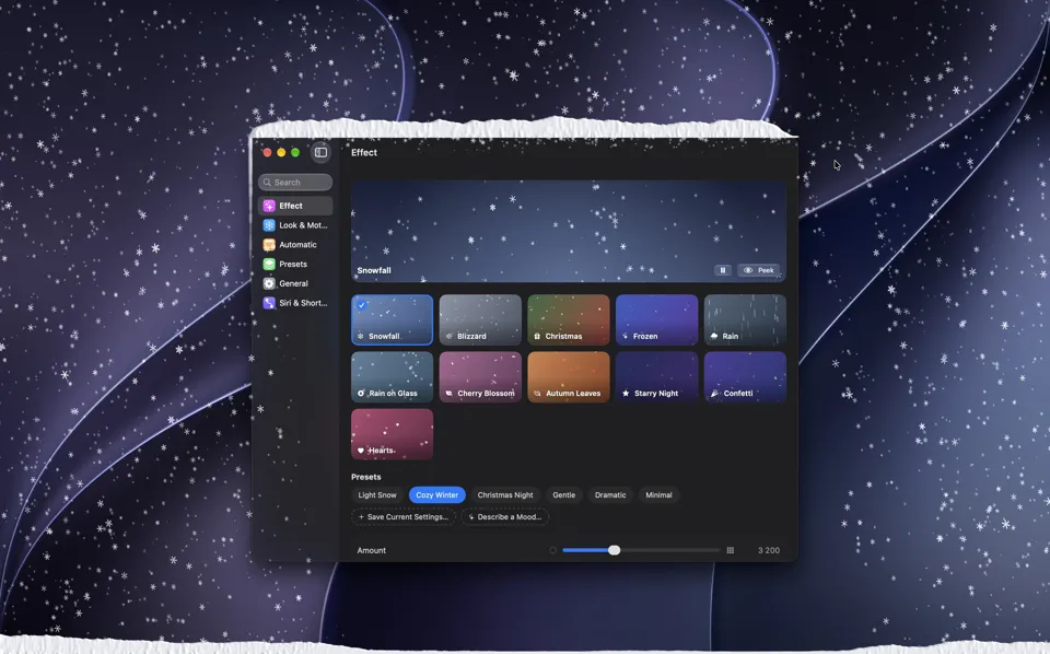 Snow settled on the top edge of the SnowWall settings window